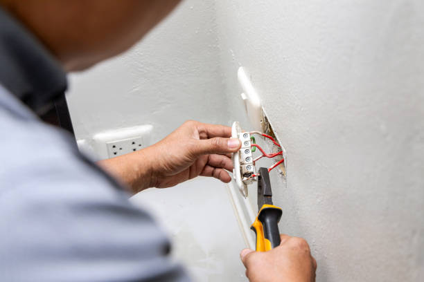 Best Affordable Electrician  in Citrus Park, AZ